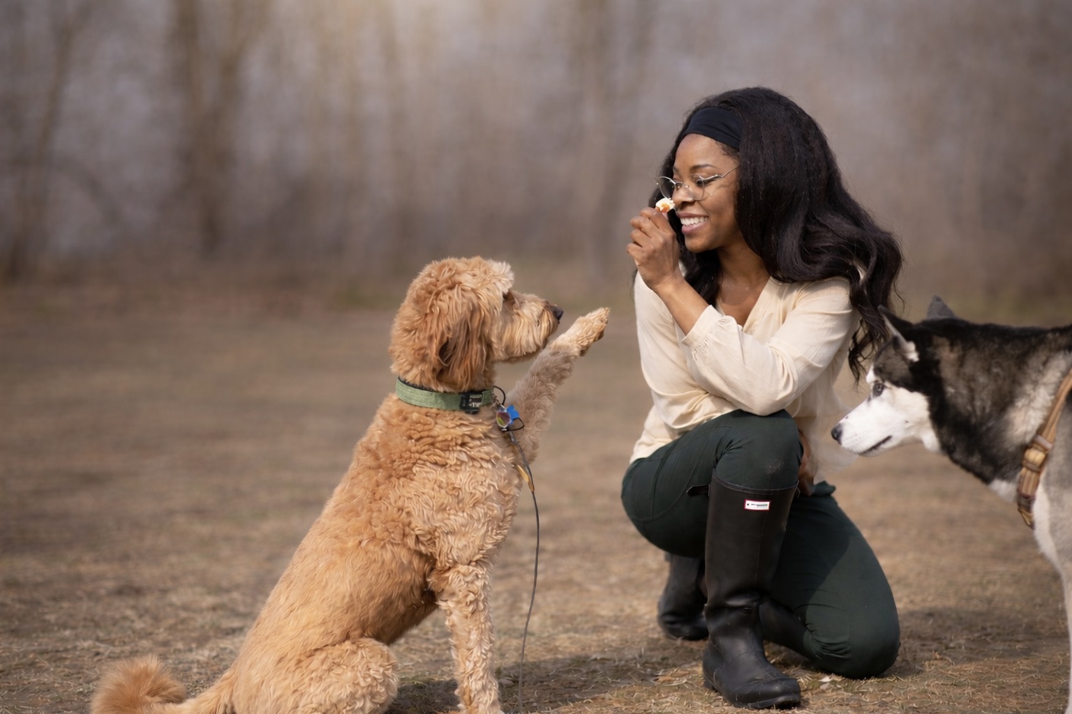 Shekeyla and dogs  — IA Pets